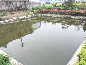 厂区一览